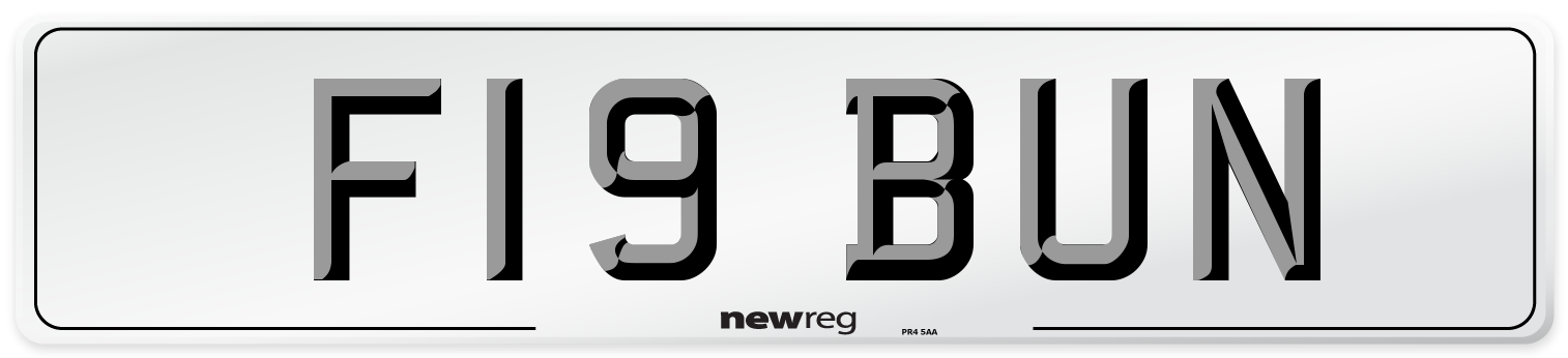 F19 BUN Number Plate from New Reg